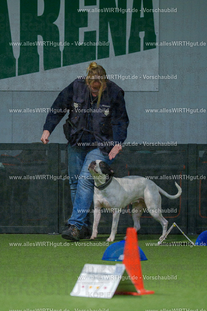 7R507756 | Professionelle Tierfotografie in Mönchengladbach von Daniel Wirth (allesWIRTHgut). Liebevolle & natürliche Bilder von Hunden & Katzen für unvergessliche Erinnerungen.