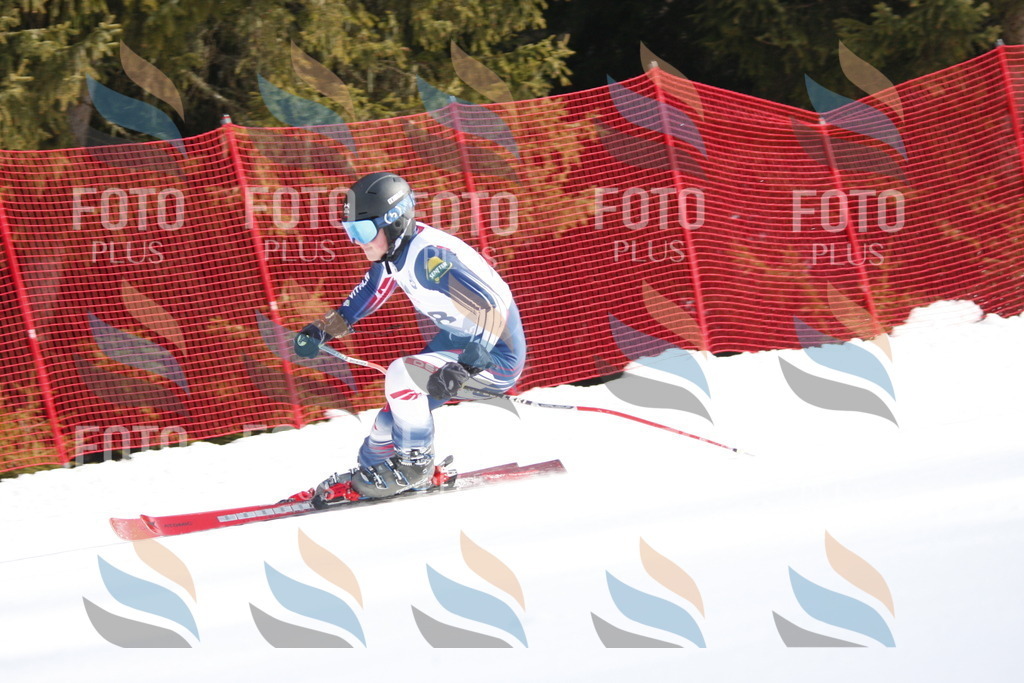 D8381 | holidayphoto