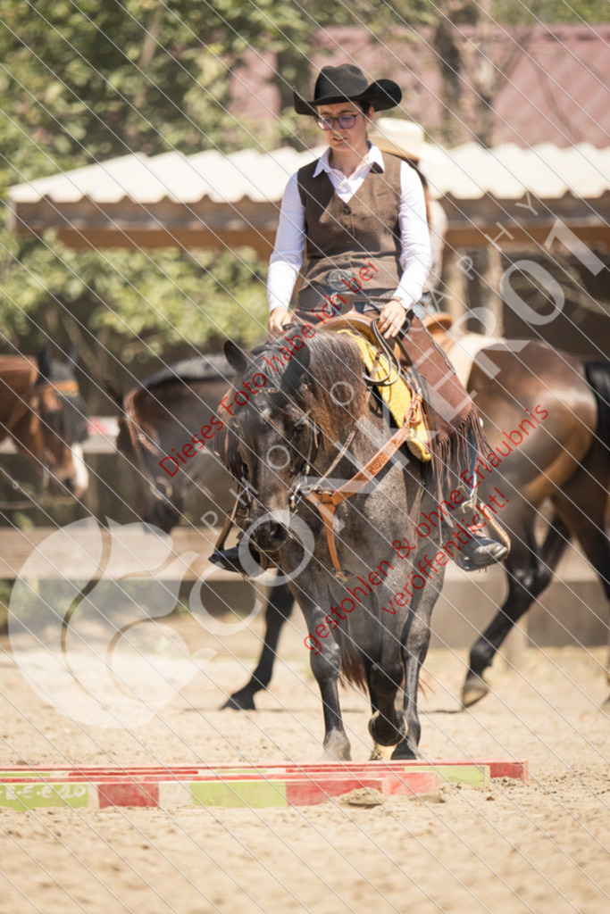 IMG_0022 | Sport-, Event- und Tierfotos in Profiqualität. Einfach auswählen, bestellen und herunterladen. Dein Moment – perfekt festgehalten.