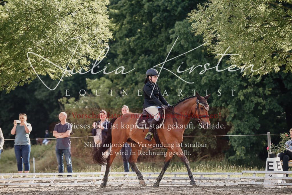 DSC_8504 | Pferde- und Turnierfotografie in Westsachsen. Pferdeportraits, Auftragszeichnungen und intuitive Kunst.