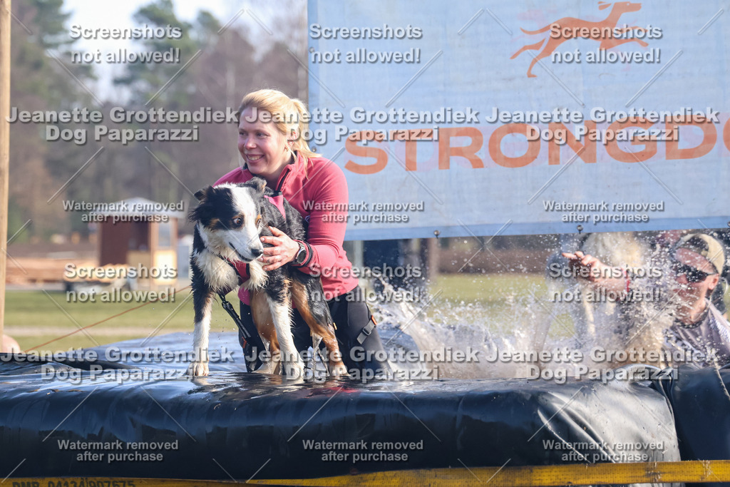 Dog Paparazzi - Strongdog North Mrz26-1002 | Dog Paparazzi Jeanette Grottendiek Fotografie & Videografie - Realisiert mit Pictrs.com