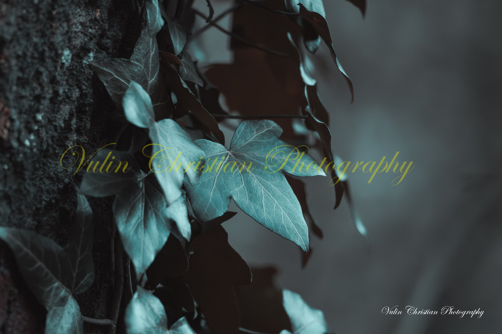 JBK 2 | Christian Vulin  - Realisiert mit Pictrs.com