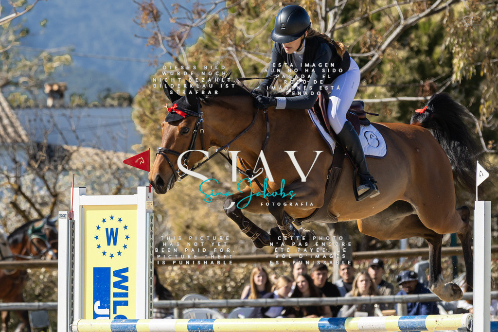 IMG_0872 | s-jay-photography - Realisiert mit Pictrs.com