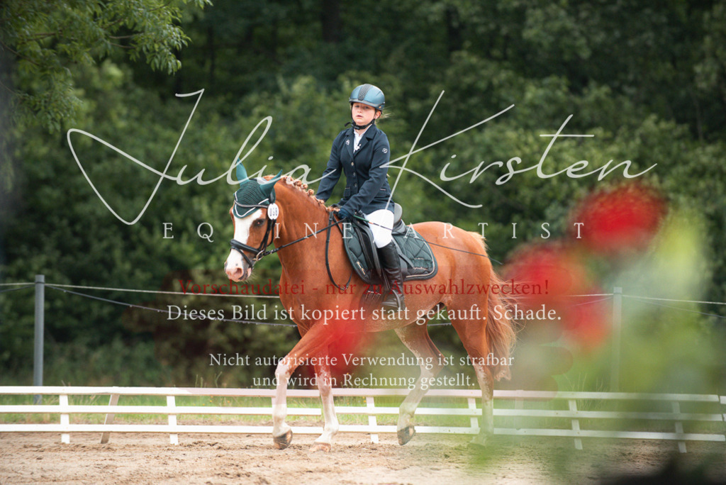 DSC_9628 | Pferde- und Turnierfotografie in Westsachsen. Pferdeportraits, Auftragszeichnungen und intuitive Kunst.