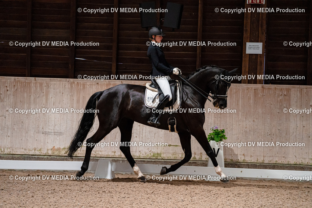 Dressur Tag 2-707 | dv-media-shop - Realisiert mit Pictrs.com