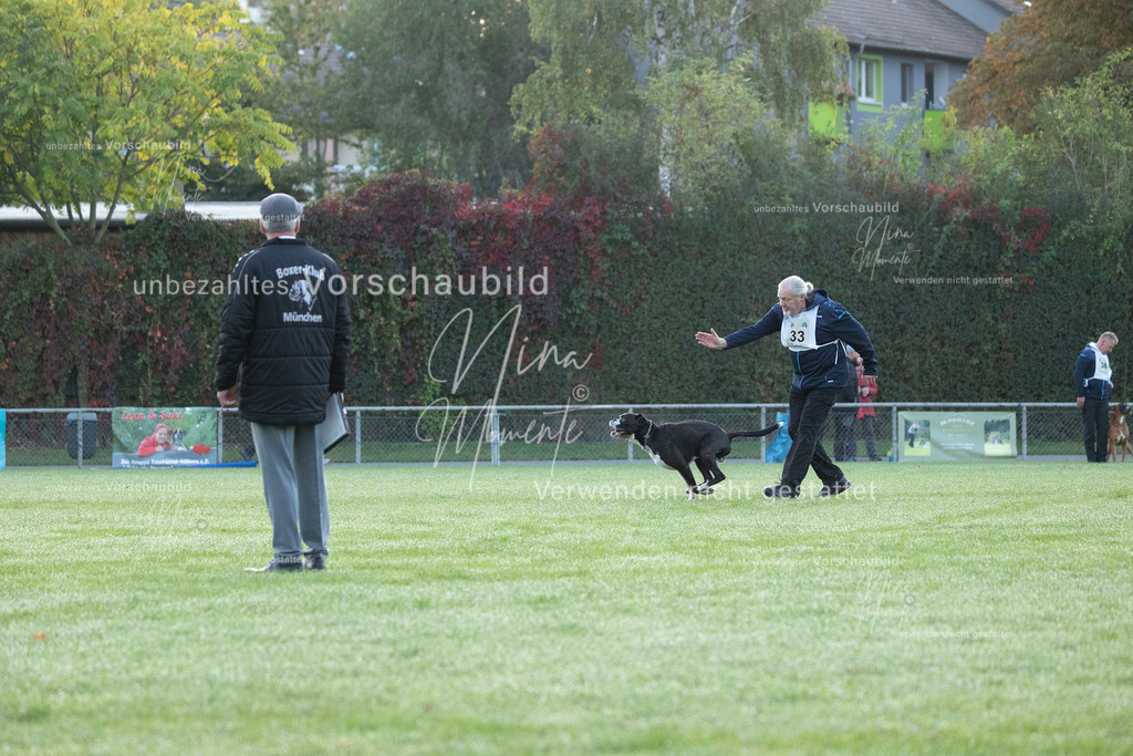 _16A5763 | Einzigartige Fotos von Hunden & Menschen –Actionfotos, Portraits, Vereinsaufnahmen & Paarshootings – authentisch, lebendig & mit Herz.