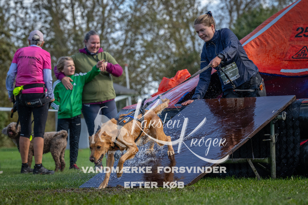 1253-90061 | kk-dogfotos