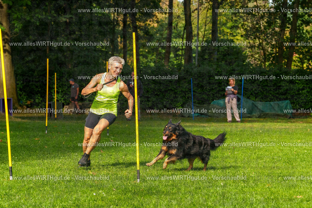 THS_Turnier_27-09-2026-allesWIRTHgut_Tierfotografie-7R506266 | Professionelle Tierfotografie in Mönchengladbach von Daniel Wirth (allesWIRTHgut). Liebevolle & natürliche Bilder von Hunden & Katzen für unvergessliche Erinnerungen.