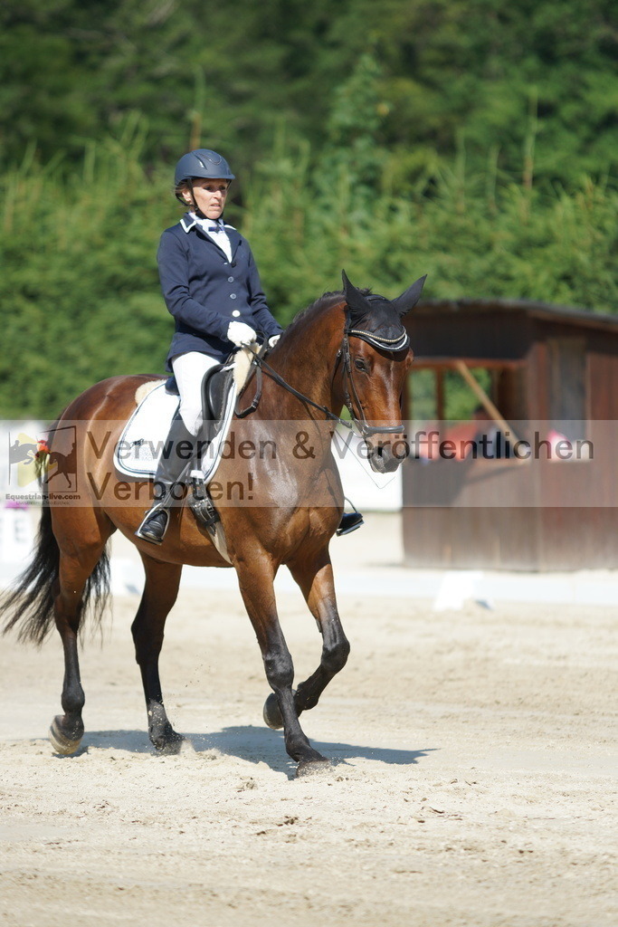 DSC02976 | equestrian-live-com