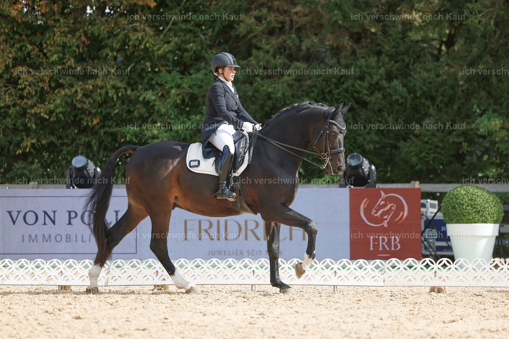 09_2-183-DRESSUR  S_  -StoibPH-5894 | working equitationturnier fotograf videograf stoibphotography marixx film working equitation deutschland reitsport turnierfotografie eventfotografie equestrian events