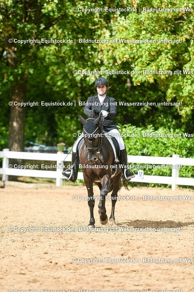 20230716_01_Dressurprüfung Kl.M_0573 | equistock