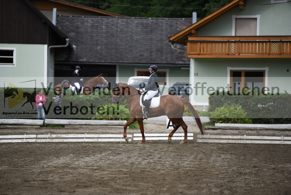 DSC_4924 | equestrian-live-com