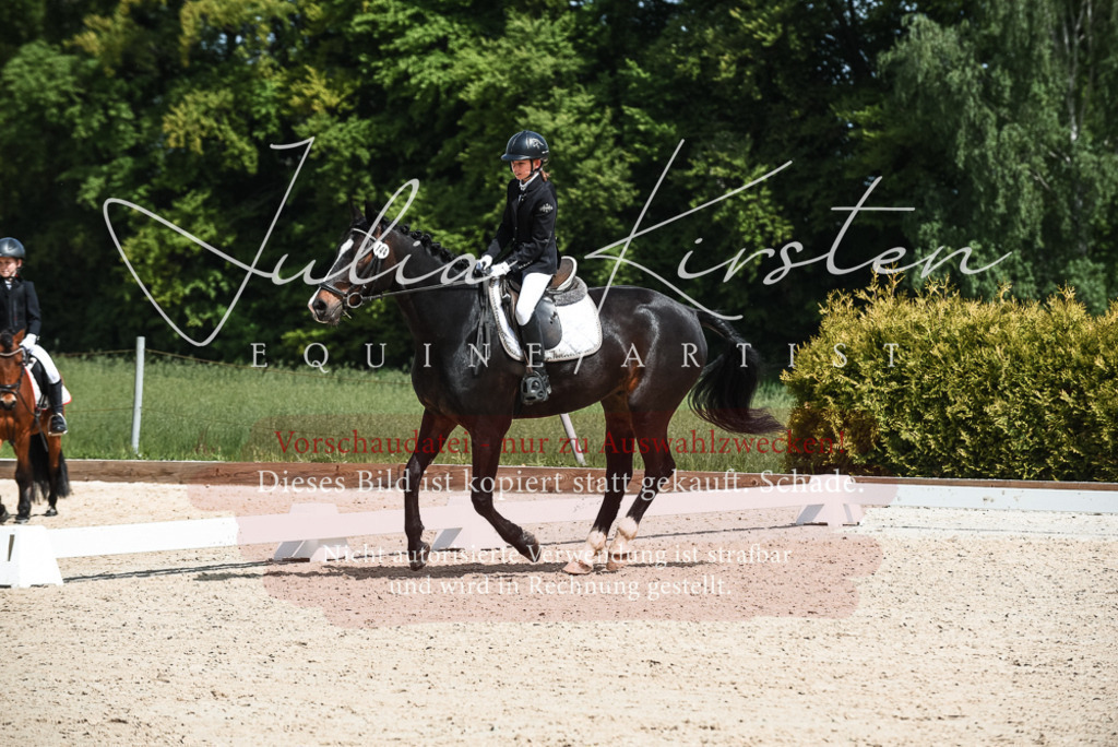 20230518_JK-Röhrsdorf-11-0723 | Pferde- und Turnierfotografie in Westsachsen. Pferdeportraits, Auftragszeichnungen und intuitive Kunst.