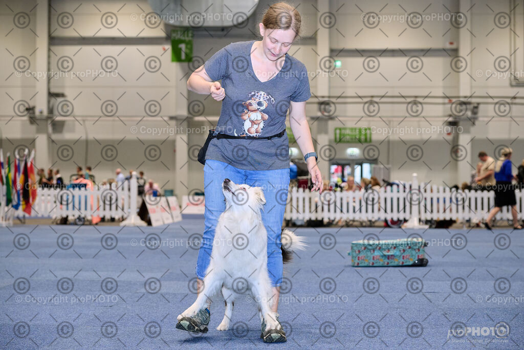 202406_ÖKV-IHA-Tulln24_NZ9_7684 | proPHOTO - Realisiert mit Pictrs.com