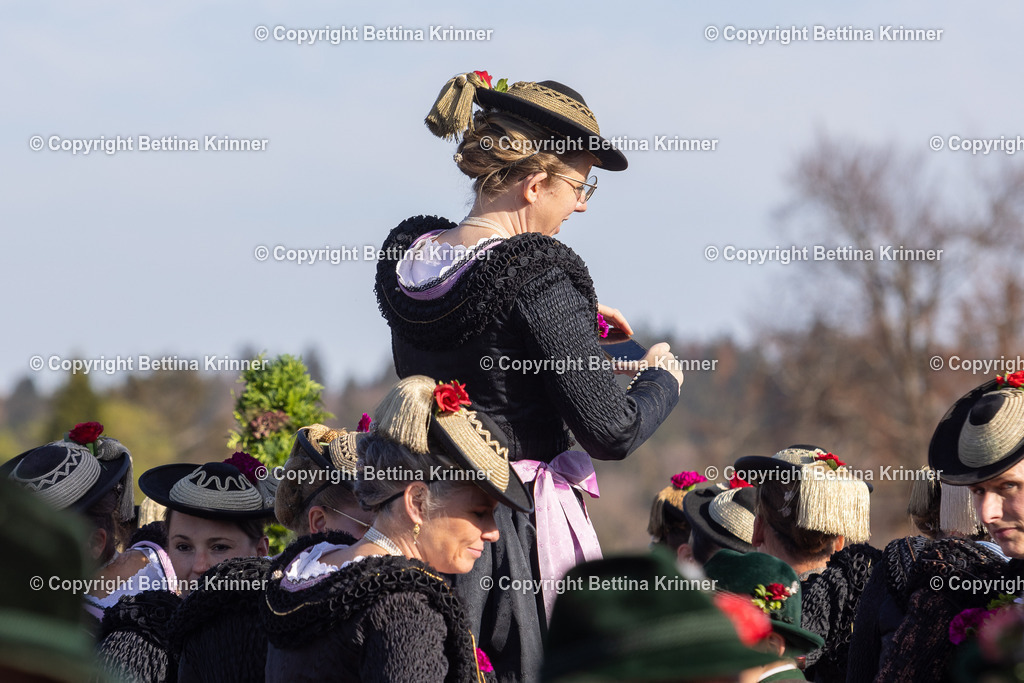 LBT24-1127 | foto-bettina-krinner - Realisiert mit Pictrs.com