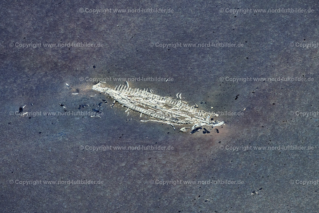 Sylt_Braderup_Wrack_Mariann_ELS_4523130825 | WENNINGSTEDT-BRADERUP (SYLT) 13.08.2025 Umrisse eines Schiffswracks " Mariann " im Wattenmeer vor Wenningstedt-Braderup (Sylt) im Bundesland Schleswig-Holstein, Deutschland. // Outline of a shipwreck " Mariann " in the Wadden Sea off Wenningstedt-Braderup (Sylt) in the federal state of Schleswig-Holstein, Germany. Foto: Martin Elsen