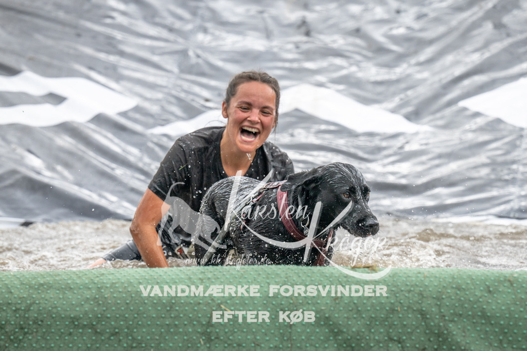 1415_ZZ94858 | kk-dogfotos