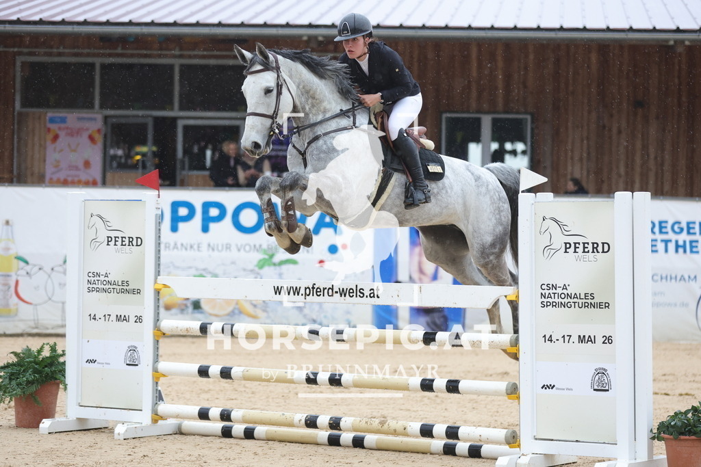 0P6A9733 | Willkommen bei Brunnmayr - Design & Fotografie – Ihrem Spezialisten für Reitturniere und Pferdeveranstaltungen in Oberösterreich, Salzburg und Bayern! Seit über 17 Jahren sind wir leidenschaftlich dabei.