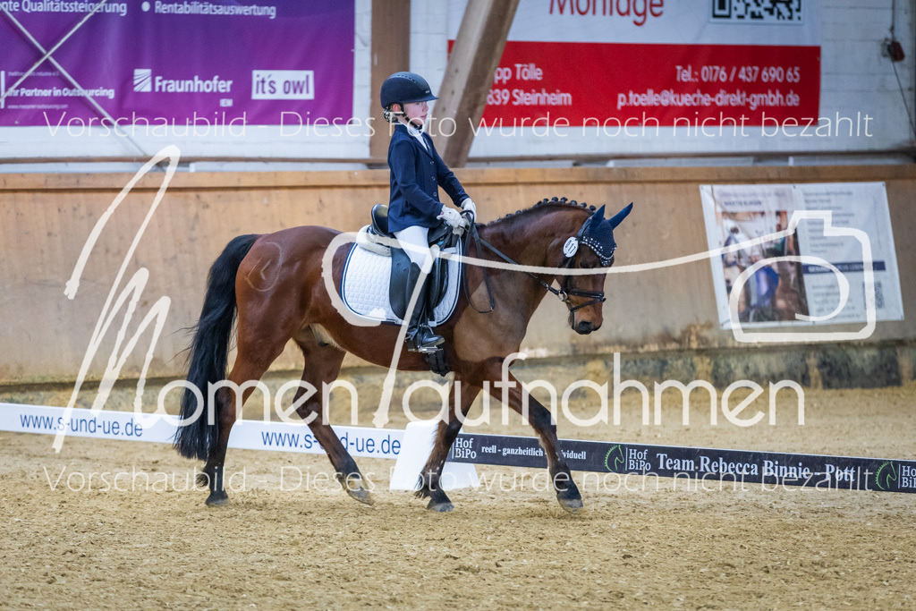 Sth-WBO25-EDr-082 | MomenTaufnahmen Pferdesportfotos