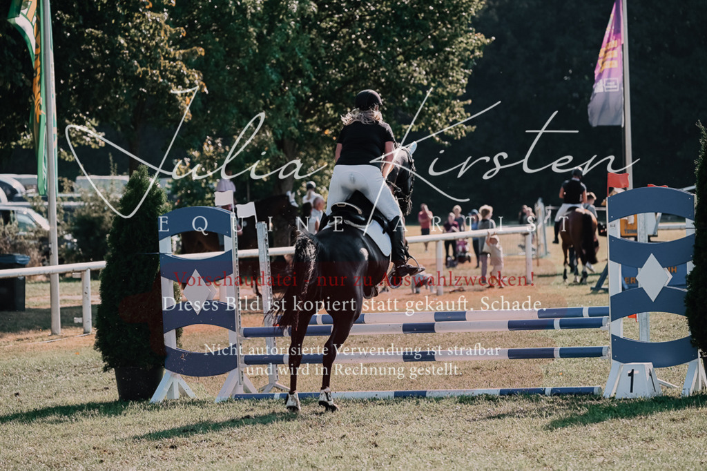 DSC_4751 | Pferde- und Turnierfotografie in Westsachsen. Pferdeportraits, Auftragszeichnungen und intuitive Kunst.