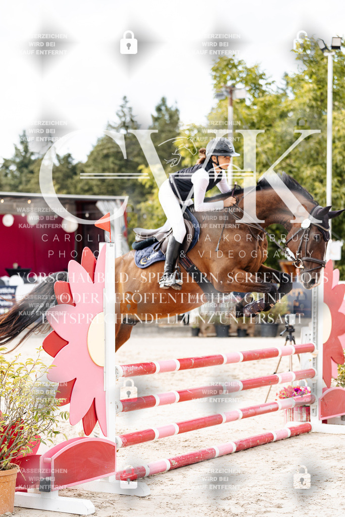 CK902981 | Turnierfotografie Pferdefotografie Trier Rheinland-Pfalz Pferdesport Reitsport Tierfotografie Sportfotografie Pferdevideo Pferdevideografie Equestrianvideography equestrianphotography  - Realisiert mit Pictrs.com