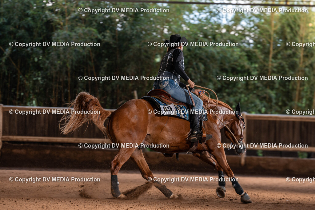 Erbach Tag 2-1007 | dv-media-shop - Realisiert mit Pictrs.com