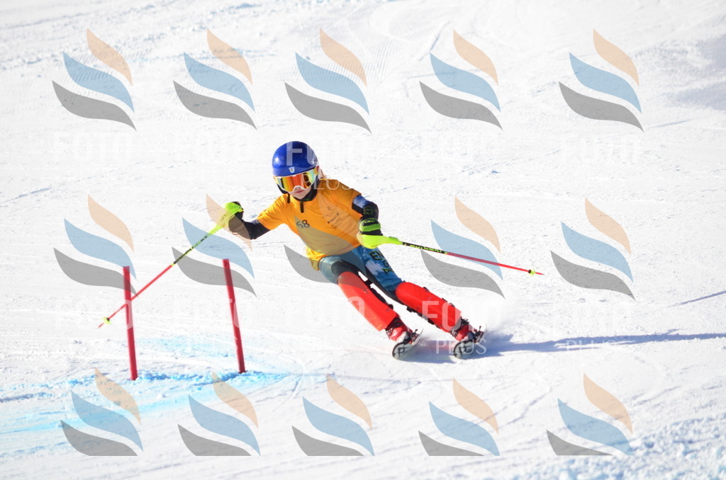 C5854 | holidayphoto