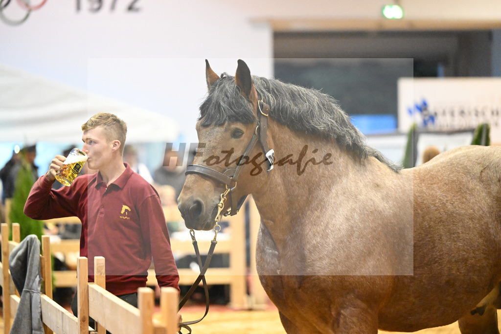 Kat-Nr. 42 Albrecht von Schernikau_Roemmer_53221258 | hf-fotografie - Realizzato con Pictrs.com