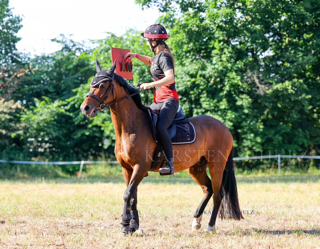 1B3A8483 | Reitsport Reiten