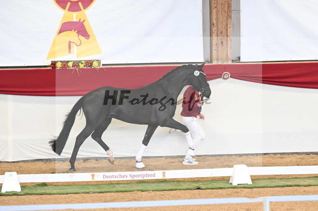 Kat.-Nr. 57 v. Feliciano_Vavrikova_3260602 | hf-fotografie - Realizzato con Pictrs.com