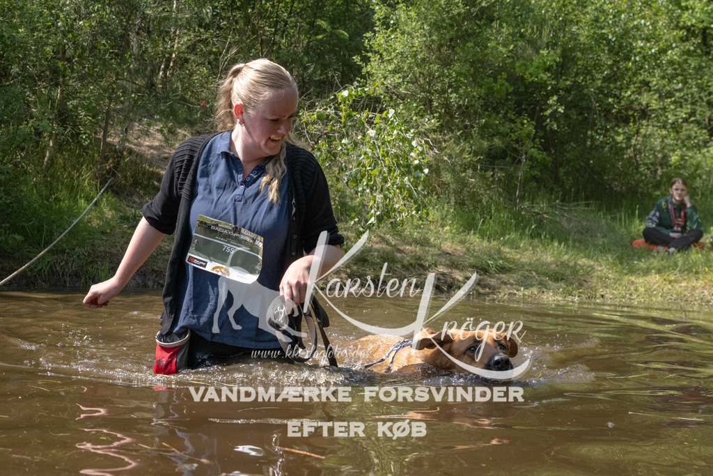 1513DKK990693 | kk-dogfotos