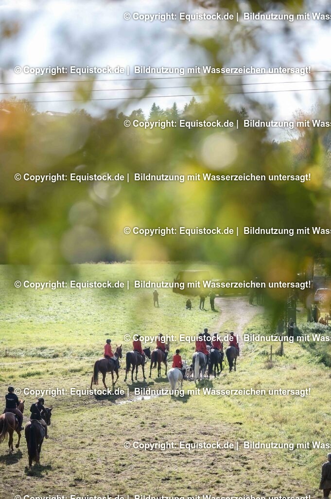 20251011_Jagd-Marbach_0562 | Foto: Thomas Hartig