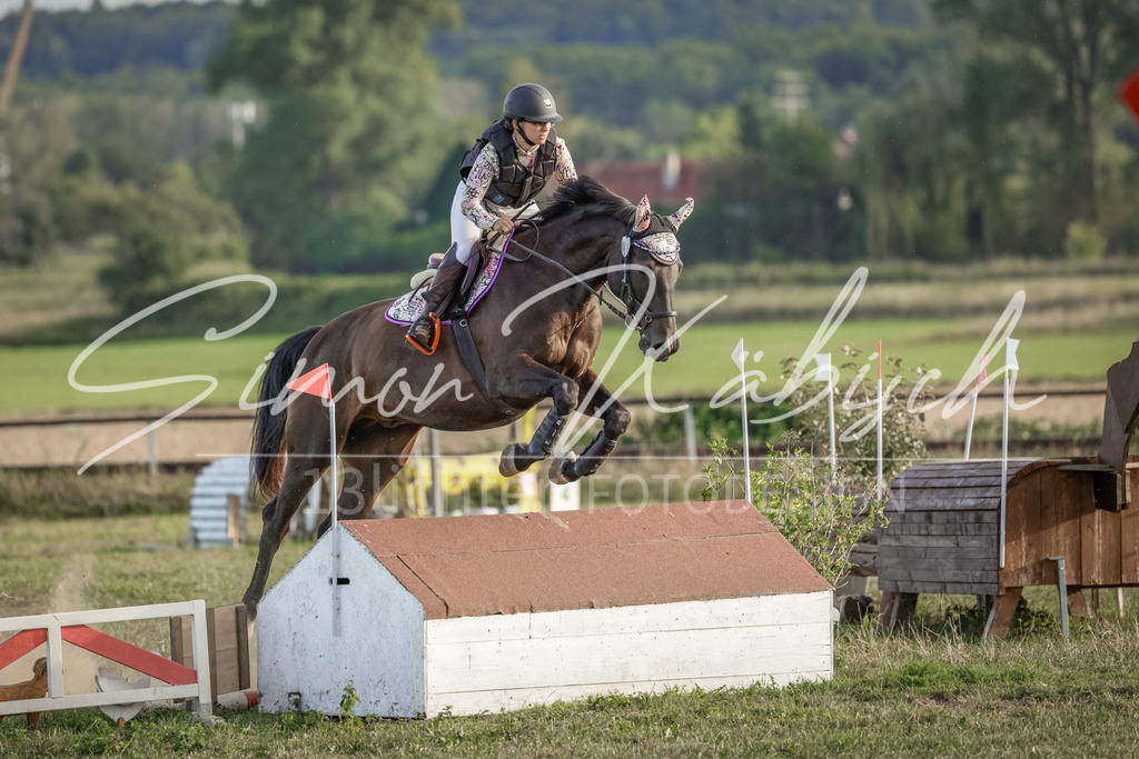 20250906-_3LI7919 | Tierfotografie Pferde, Hunde, Katzen, Haustiere.
Turnierfotografie Reitturniere, Reiten, Springreiten, Dressur in Hanau, dem Main-Kinzig-Kreis und dem Rhein-Main- Gebiet um Frankfurt