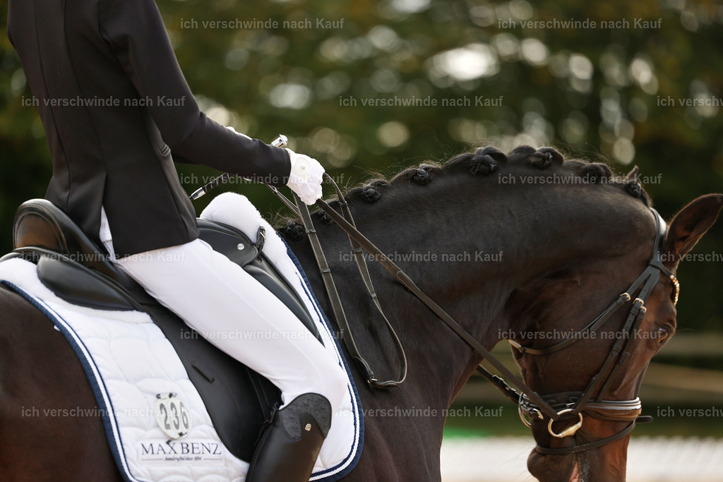 02-236-DRESSUR L_  -StoibPH-4727 | working equitationturnier fotograf videograf stoibphotography marixx film working equitation deutschland reitsport turnierfotografie eventfotografie equestrian events