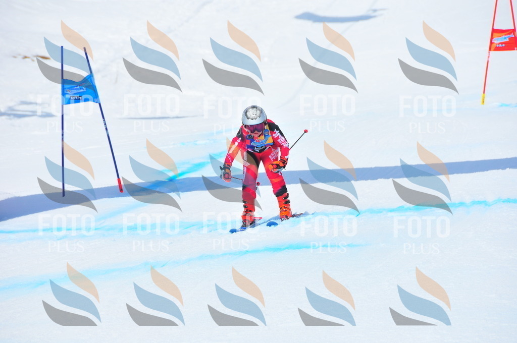 DSC_6920 | holidayphoto