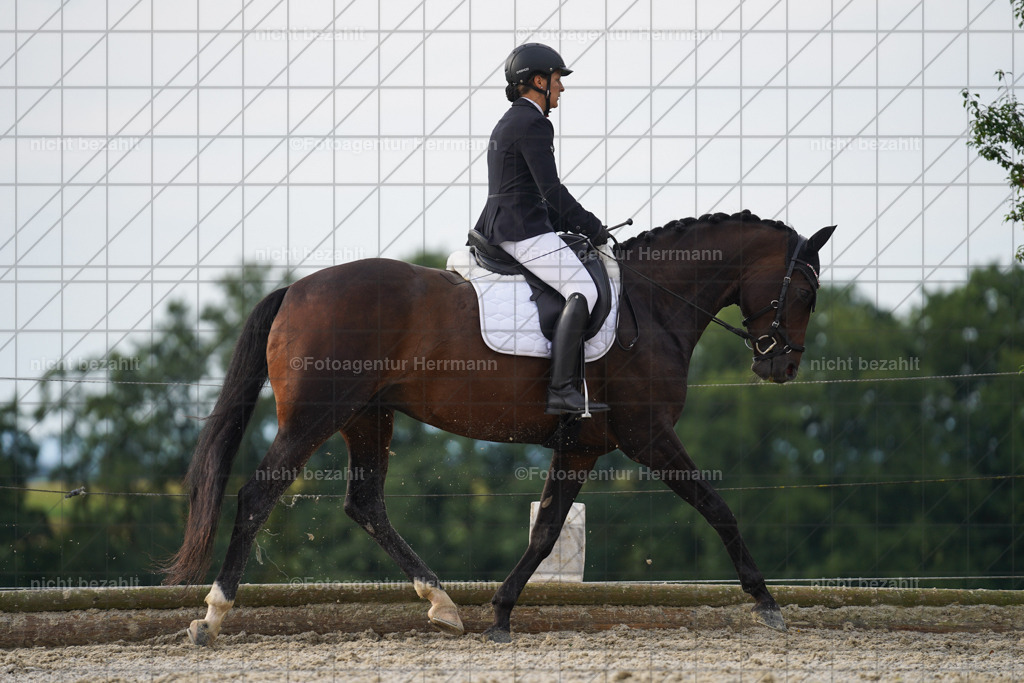 20230826-FAH04483 | Forstinning, 2023, Dressurturnier, Turniersportbilder, Turnierfotografen Bayern, Fotoagentur Herrmann, Reitsportfotografie, Turnierbilder