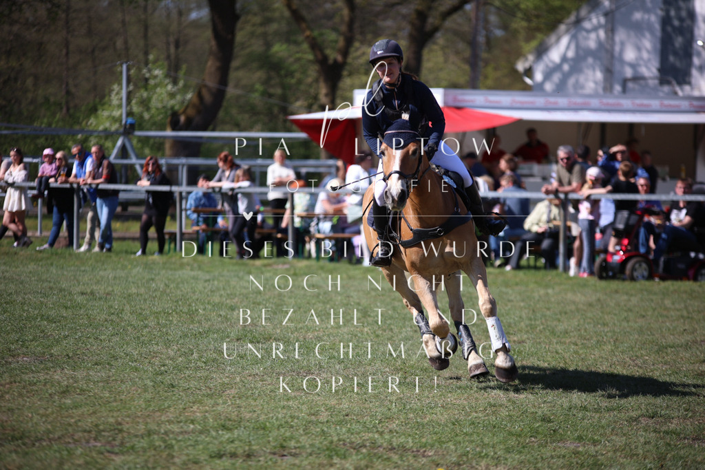 IMGT8889 | pl-fotografie