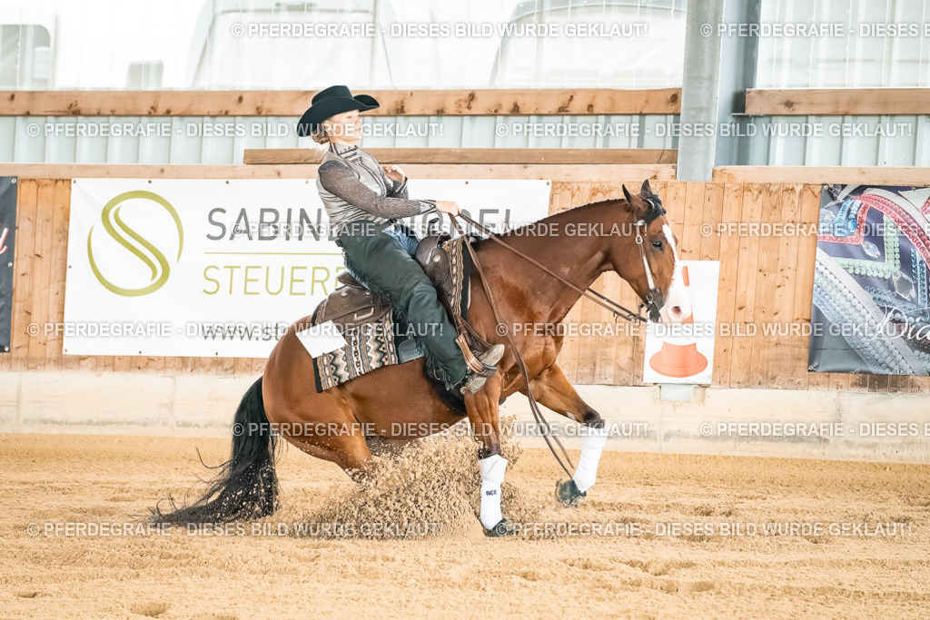 DSC02836 | Pferdegrafie