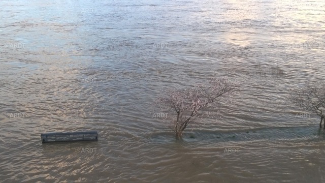 Kölner Bilder 13 | Der Rhein führt Hochwasser