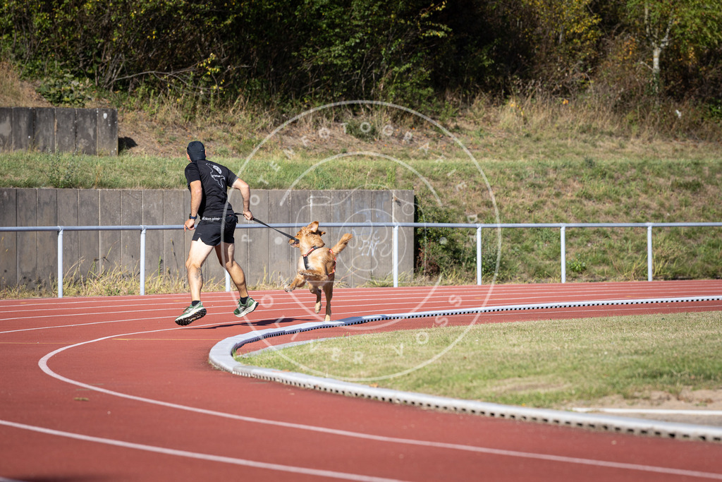 Pfotenfotografie_DV3A9645 | Hundefotografie, Tierfotograf, Pfotenfotografie, Fotoshooting Hund, Hunde Portrait, Hundesport, Hundeportraits, Heideshooting, Hunde, Sportfotograf, Hundefotograf, Turnierhundsport, THS,  - Realisiert mit Pictrs.com