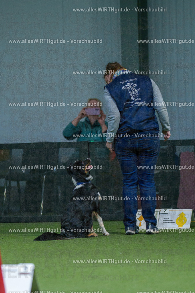 7R500540 | Professionelle Tierfotografie in Mönchengladbach von Daniel Wirth (allesWIRTHgut). Liebevolle & natürliche Bilder von Hunden & Katzen für unvergessliche Erinnerungen.