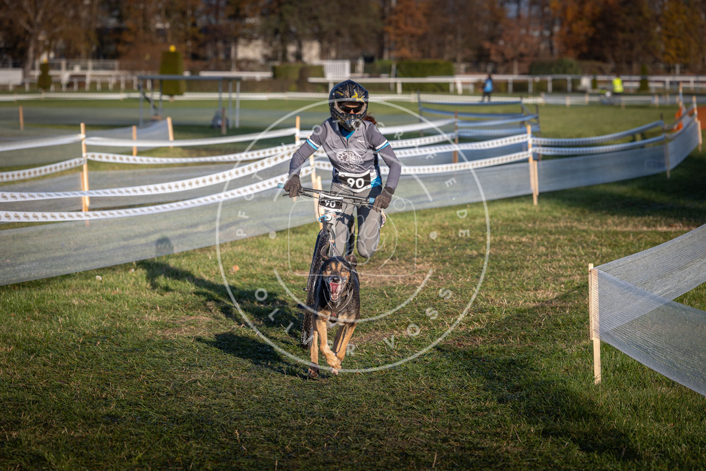 CaniXpix_0L8A3903 | Hundefotografie, Tierfotograf, Pfotenfotografie, Fotoshooting Hund, Hunde Portrait, Hundesport, Hundeportraits, Heideshooting, Hunde, Sportfotograf, Hundefotograf, Turnierhundsport, THS,  - Realisiert mit Pictrs.com