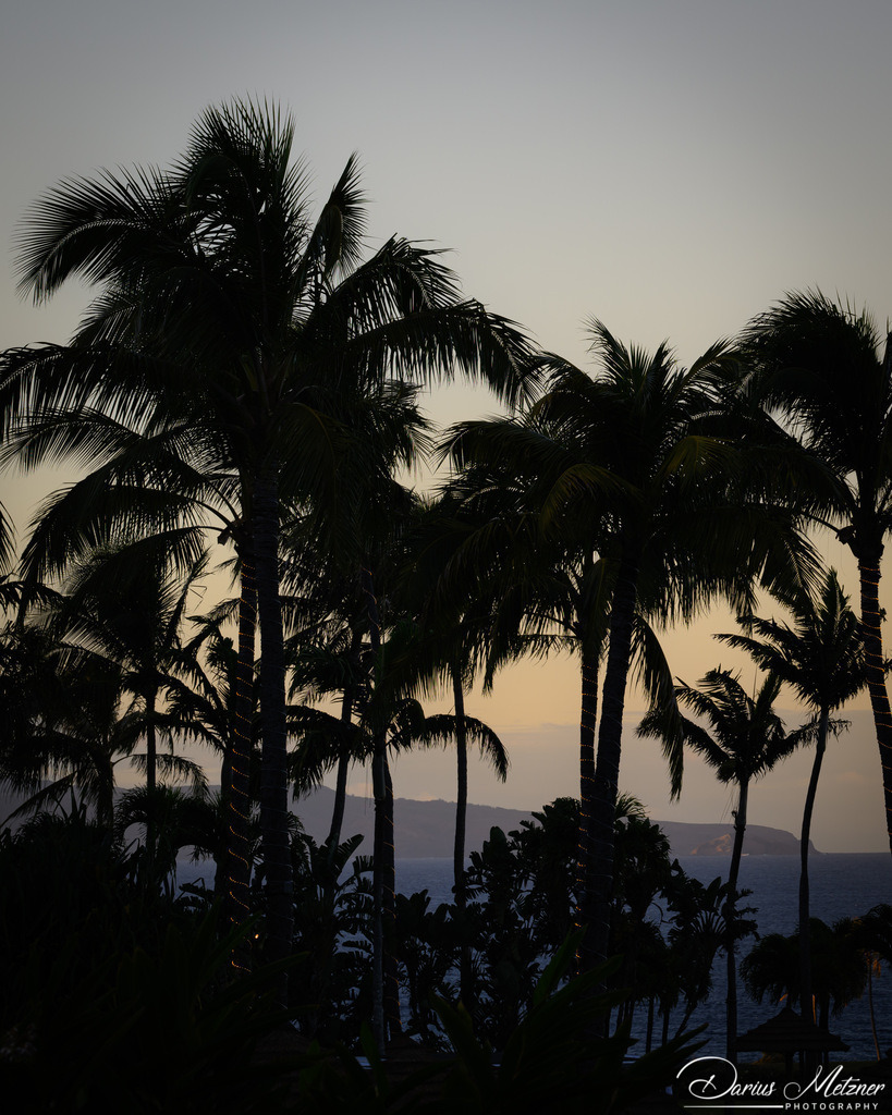 DSC_7358 | Fotografien, Fotos und Bilder aus Mainz, Frankfurt, Wiesbaden und anderen Orten auf der Welt - Fotografiert von Darius Metzner