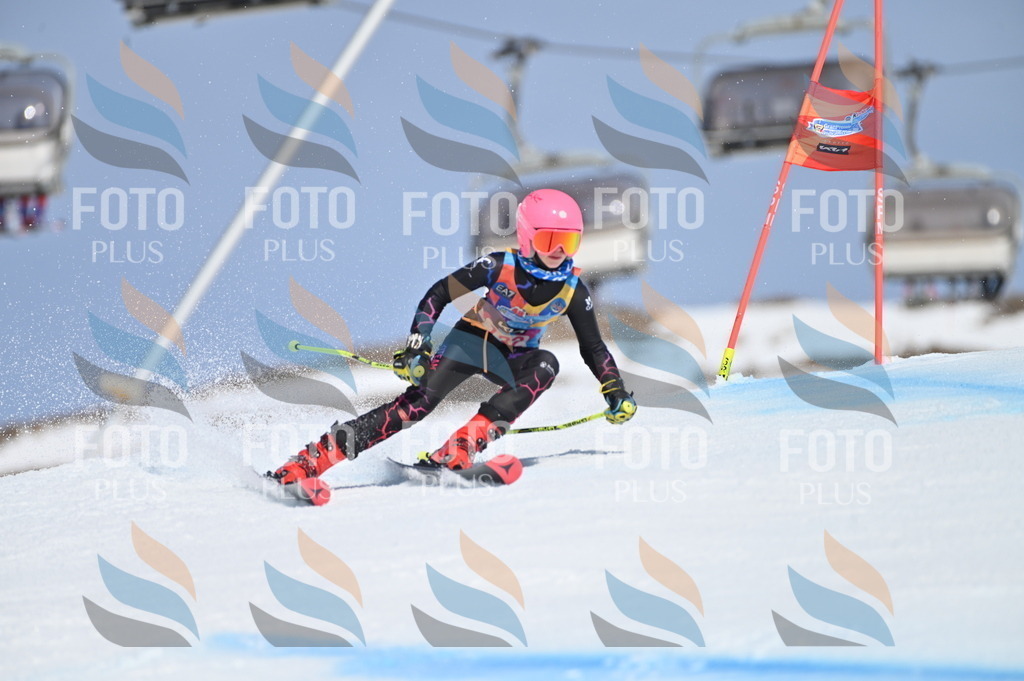 BGV_0012 | holidayphoto