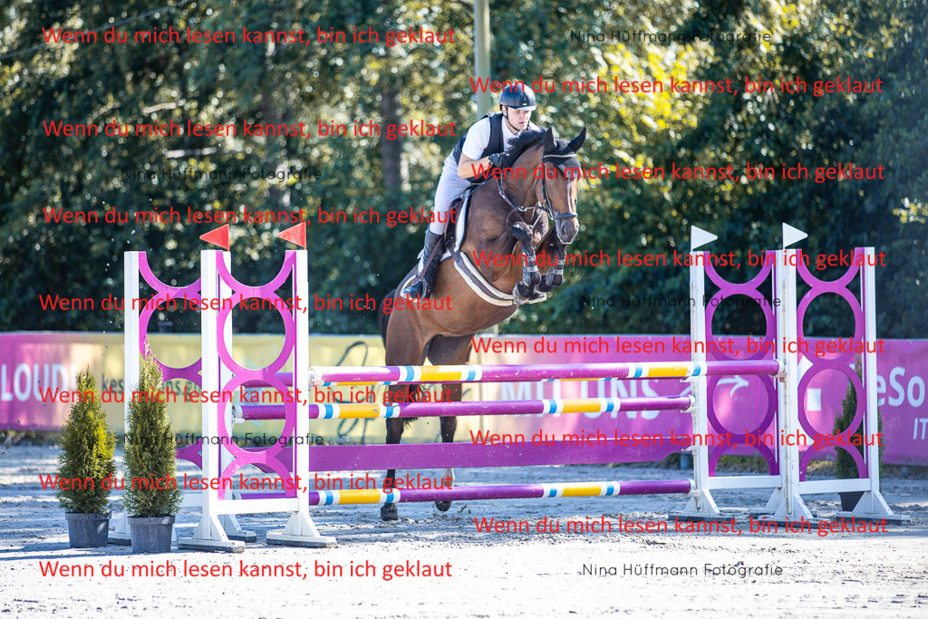 BK1A5628 | Turnierbilder Turnierfotos Nina Hüffmann Turnierfotografie Pferdefotografie Tierzeichnung Haustierzeichnung Pferdezeichnung Hundezeichnung Videograf  - Realisiert mit Pictrs.com
