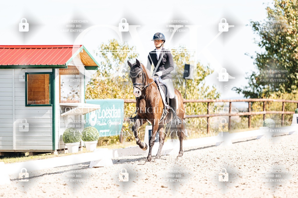 CK909486 | Turnierfotografie Pferdefotografie Trier Rheinland-Pfalz Pferdesport Reitsport Tierfotografie Sportfotografie Pferdevideo Pferdevideografie Equestrianvideography equestrianphotography  - Realisiert mit Pictrs.com