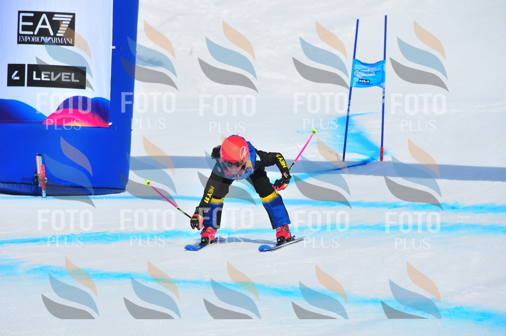 DSC_1463 | holidayphoto