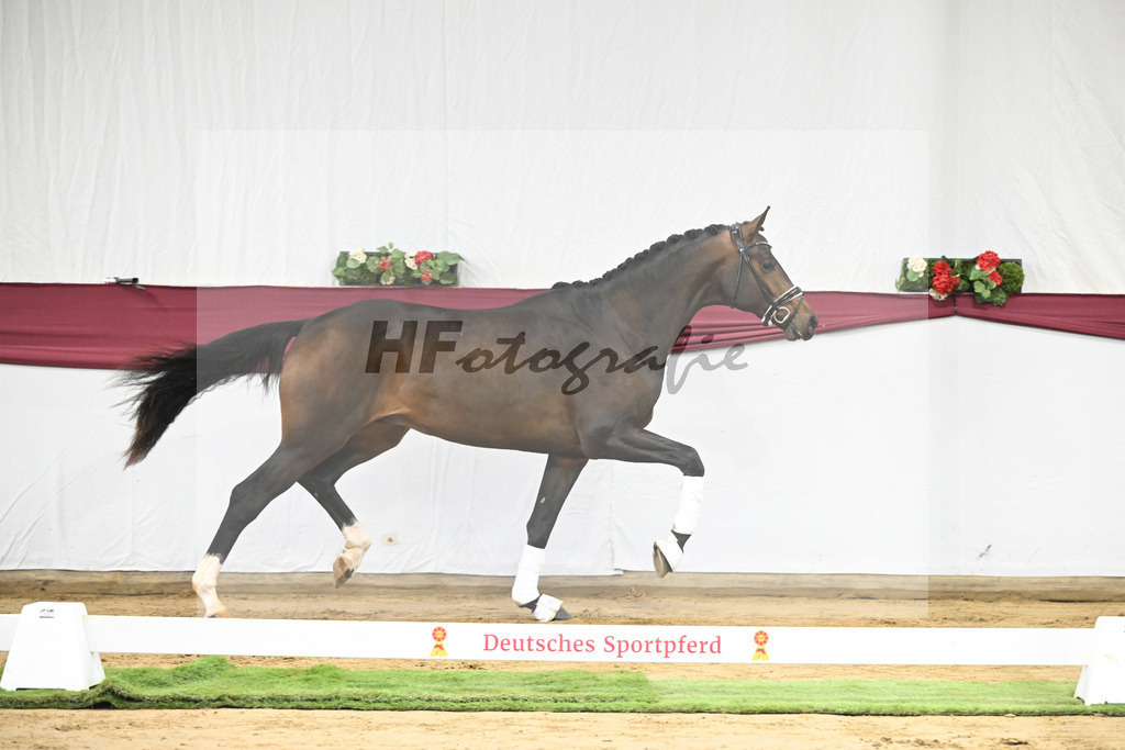 Kat-Nr. 13 Escaneno x De Niro-Christoph Wahler_47250229 | hf-fotografie - Realisiert mit Pictrs.com