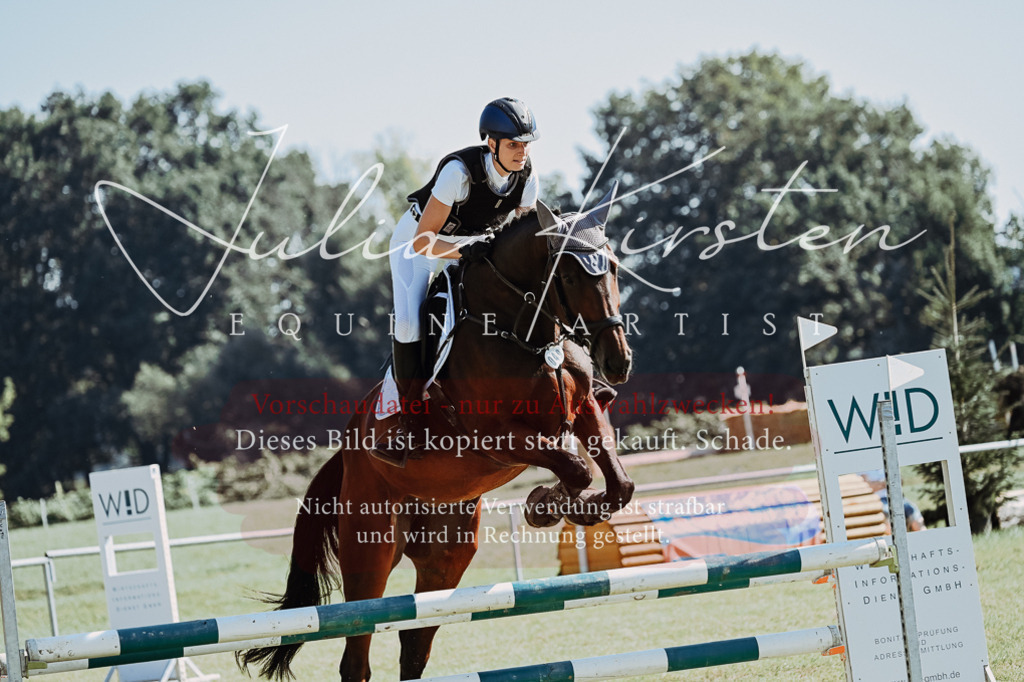 DSC_5590 | Pferde- und Turnierfotografie in Westsachsen. Pferdeportraits, Auftragszeichnungen und intuitive Kunst.