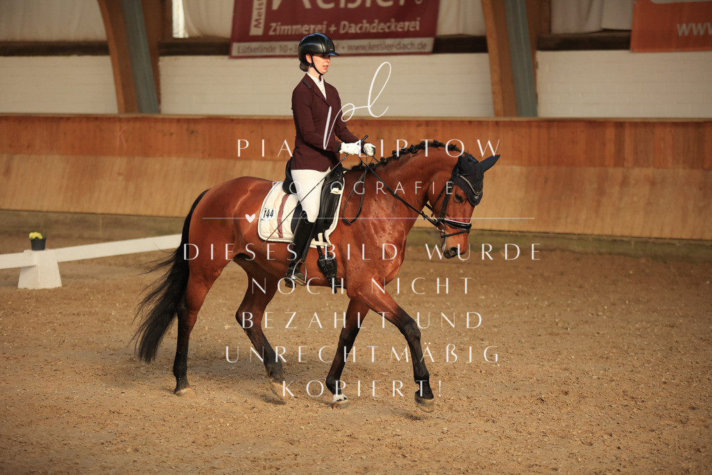 IMGT3662 | pl-fotografie